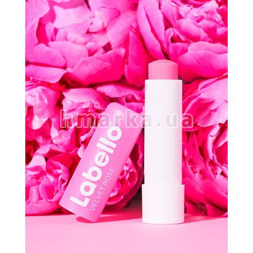 Фото Бальзам для губ Оксамитова троянда від Labello, 4,8 г № 4