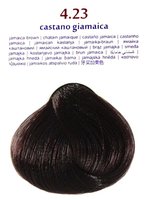 Крем-фарба для волосся "Brelil 4.23 ямайка каштановий", 100 мл